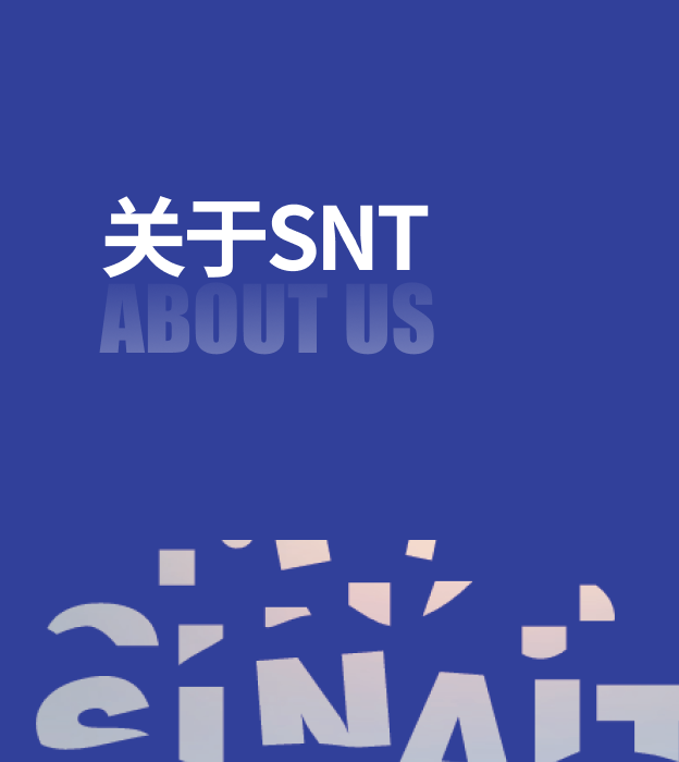 关于SNT ABOUT US