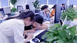 专业技能课程培训 · 日常工作交流