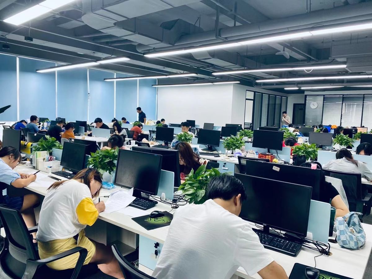 专业技能课程培训 · 团队日常
