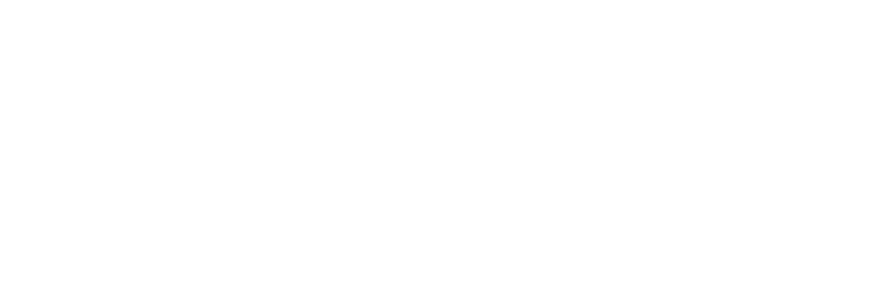 斯奈特 SNT